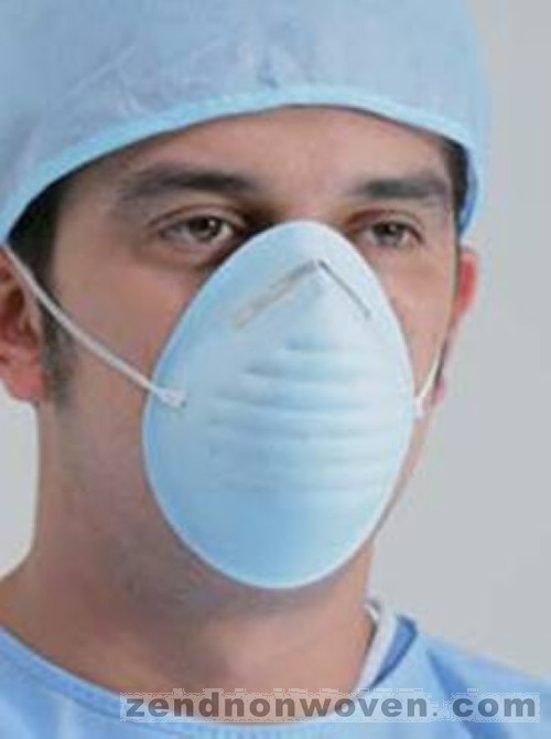 Nuisance Dust Mask