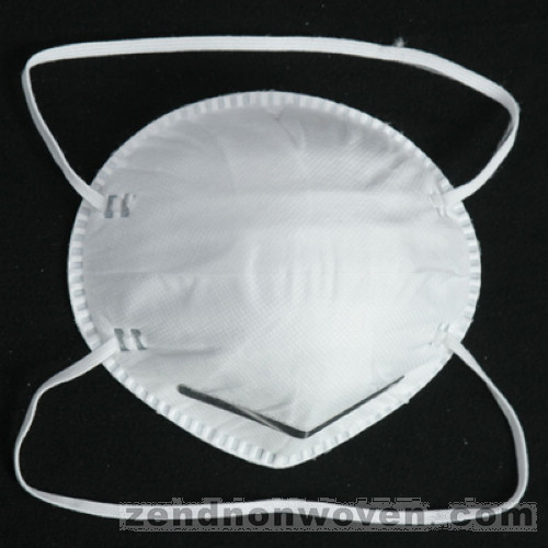 Nuisance Dust Mask