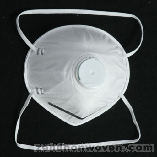 Nuisance Dust Mask