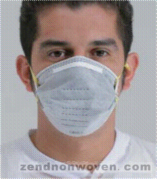 N95 Particulate Respirator