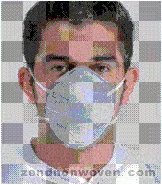 N95 Particulate Respirator