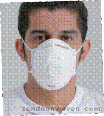 N95 Particulate Respirator