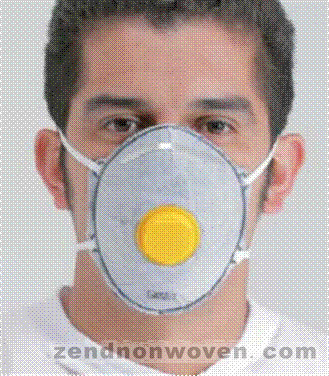 N95 Particulate Respirator