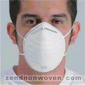 FFP1/FFP2 Paticulate Respirator