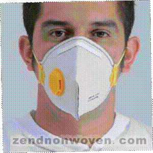 FFP1/FFP2 Paticulate Respirator