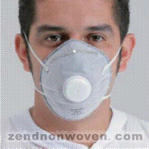 FFP1/FFP2 Paticulate Respirator