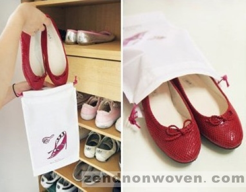 shoe bag