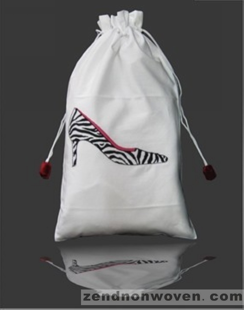 shoe bag