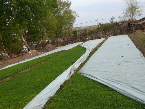 Weed Control Fabric