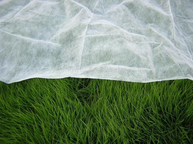 Weed Control Fabric