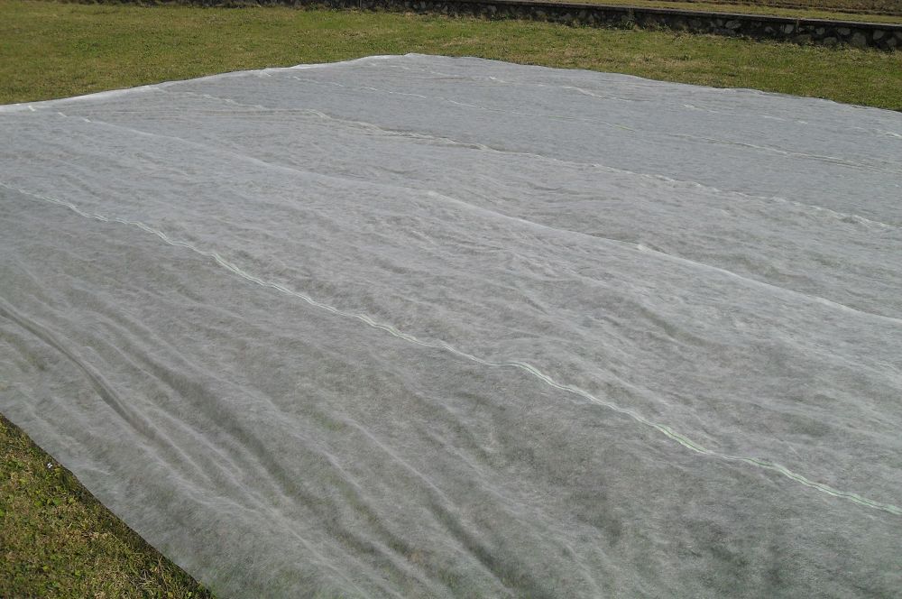 Weed Control Fabric