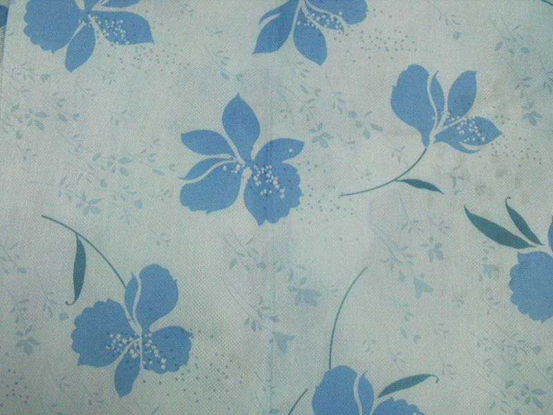 Printed nonwoven fabric