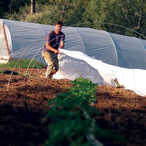 Polypropylene Spunbond Non Woven Crop Cover