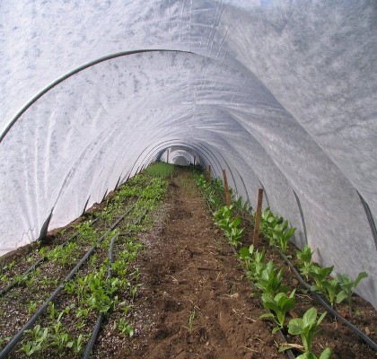6.40 m x 250 meters non-woven material