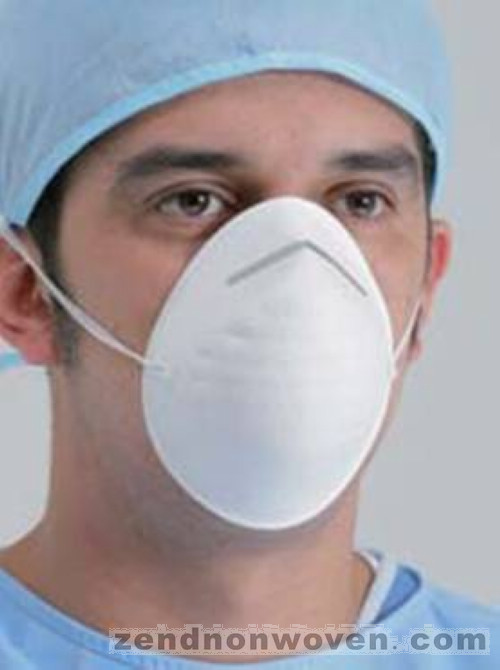 Nuisance Dust Mask